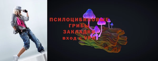 прущие грибы Навашино
