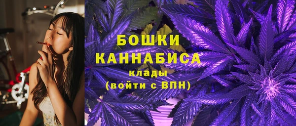 гидра Бикин